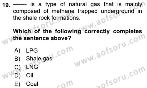 Energy Economics Dersi 2024 - 2025 Yılı (Vize) Ara Sınav Soruları 19. Soru