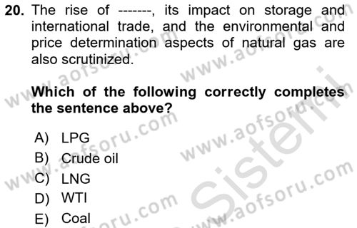 Energy Economics Dersi 2024 - 2025 Yılı (Vize) Ara Sınav Soruları 20. Soru