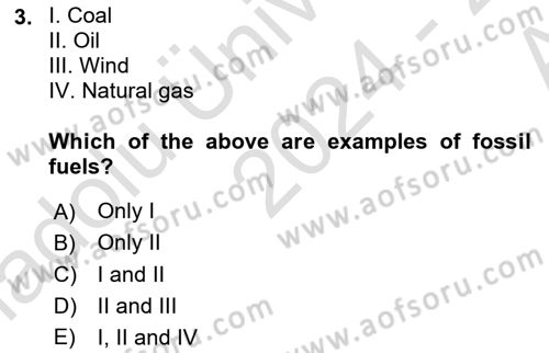 Energy Economics Dersi 2024 - 2025 Yılı (Vize) Ara Sınav Soruları 3. Soru