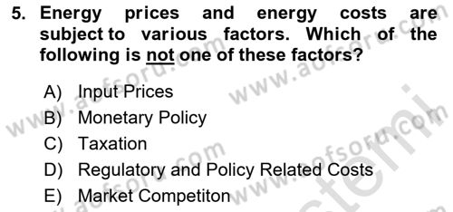 Energy Economics Dersi 2024 - 2025 Yılı (Vize) Ara Sınav Soruları 5. Soru