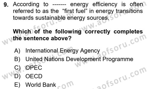 Energy Economics Dersi 2024 - 2025 Yılı (Vize) Ara Sınav Soruları 9. Soru