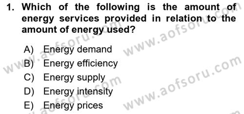 Energy Economics Dersi 2024 - 2025 Yılı (Final) Dönem Sonu Sınav Soruları 1. Soru