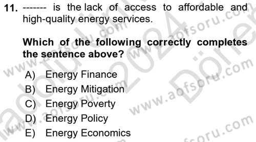 Energy Economics Dersi 2024 - 2025 Yılı (Final) Dönem Sonu Sınav Soruları 11. Soru