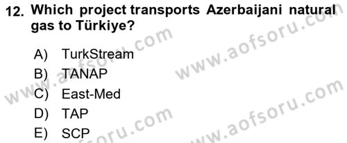 Energy Economics Dersi 2024 - 2025 Yılı (Final) Dönem Sonu Sınav Soruları 12. Soru
