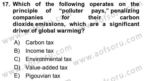 Energy Economics Dersi 2024 - 2025 Yılı (Final) Dönem Sonu Sınav Soruları 17. Soru