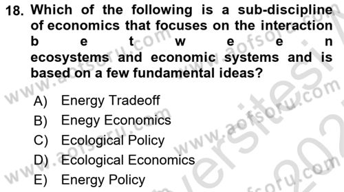 Energy Economics Dersi 2024 - 2025 Yılı (Final) Dönem Sonu Sınav Soruları 18. Soru
