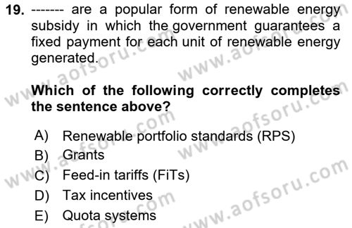 Energy Economics Dersi 2024 - 2025 Yılı (Final) Dönem Sonu Sınav Soruları 19. Soru