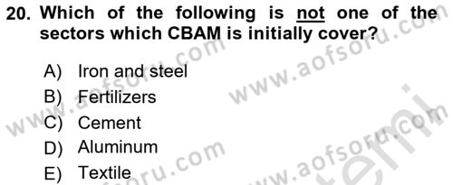 Energy Economics Dersi 2024 - 2025 Yılı (Final) Dönem Sonu Sınav Soruları 20. Soru
