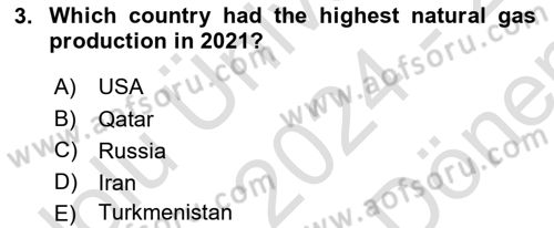 Energy Economics Dersi 2024 - 2025 Yılı (Final) Dönem Sonu Sınav Soruları 3. Soru