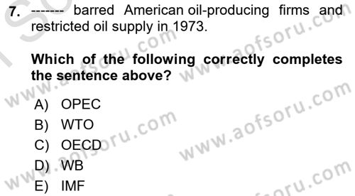 Energy Economics Dersi 2024 - 2025 Yılı (Final) Dönem Sonu Sınav Soruları 7. Soru