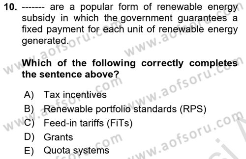 Energy Economics Dersi 2024 - 2025 Yılı Yaz Okulu Sınav Soruları 10. Soru