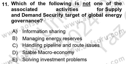 Energy Economics Dersi 2024 - 2025 Yılı Yaz Okulu Sınav Soruları 11. Soru