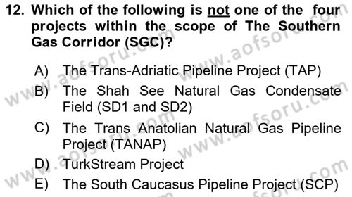 Energy Economics Dersi 2024 - 2025 Yılı Yaz Okulu Sınav Soruları 12. Soru
