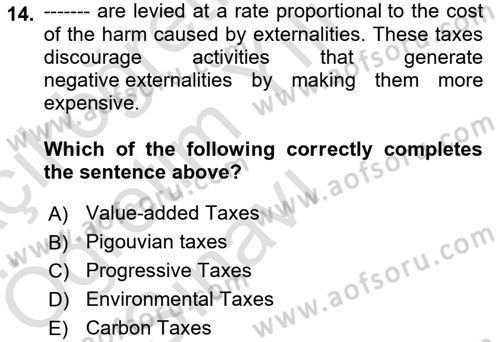 Energy Economics Dersi 2024 - 2025 Yılı Yaz Okulu Sınav Soruları 14. Soru