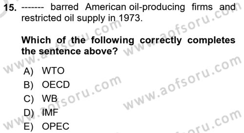 Energy Economics Dersi 2024 - 2025 Yılı Yaz Okulu Sınav Soruları 15. Soru