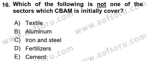 Energy Economics Dersi 2024 - 2025 Yılı Yaz Okulu Sınav Soruları 16. Soru