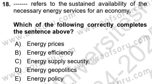 Energy Economics Dersi 2024 - 2025 Yılı Yaz Okulu Sınav Soruları 18. Soru