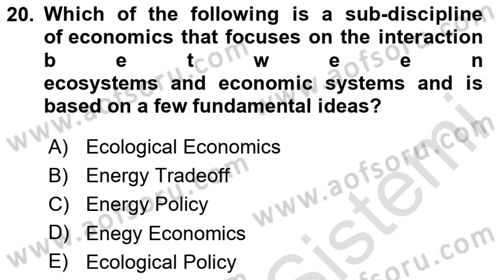 Energy Economics Dersi 2024 - 2025 Yılı Yaz Okulu Sınav Soruları 20. Soru