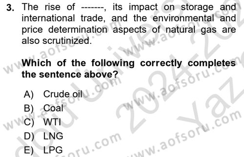 Energy Economics Dersi 2024 - 2025 Yılı Yaz Okulu Sınav Soruları 3. Soru