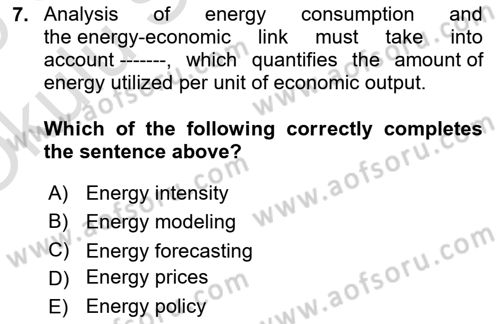 Energy Economics Dersi 2024 - 2025 Yılı Yaz Okulu Sınav Soruları 7. Soru