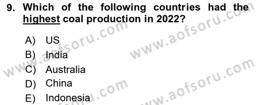 Energy Economics Dersi 2024 - 2025 Yılı Yaz Okulu Sınav Soruları 9. Soru
