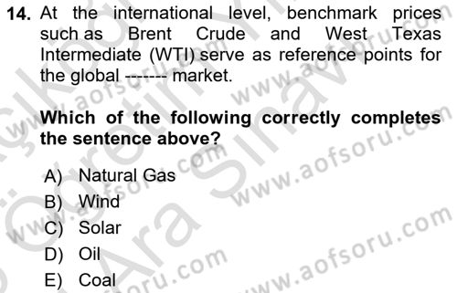 Energy Economics Dersi 2025 - 2026 Yılı (Vize) Ara Sınav Soruları 14. Soru