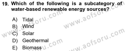 Energy Economics Dersi 2025 - 2026 Yılı (Vize) Ara Sınav Soruları 19. Soru