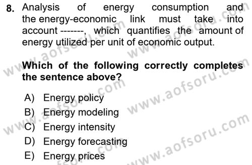 Energy Economics Dersi 2025 - 2026 Yılı (Vize) Ara Sınav Soruları 8. Soru