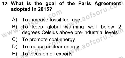 Energy Economics Dersi 2025 - 2026 Yılı (Final) Dönem Sonu Sınav Soruları 12. Soru