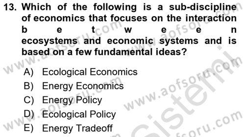 Energy Economics Dersi 2025 - 2026 Yılı (Final) Dönem Sonu Sınav Soruları 13. Soru