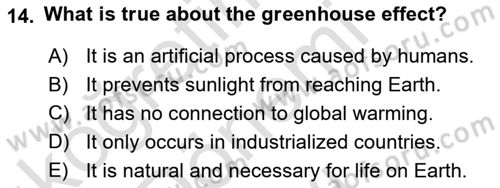Energy Economics Dersi 2025 - 2026 Yılı (Final) Dönem Sonu Sınav Soruları 14. Soru