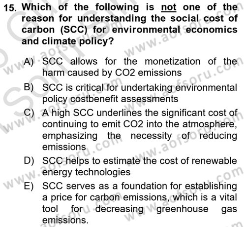 Energy Economics Dersi 2025 - 2026 Yılı (Final) Dönem Sonu Sınav Soruları 15. Soru