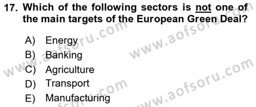 Energy Economics Dersi 2025 - 2026 Yılı (Final) Dönem Sonu Sınav Soruları 17. Soru