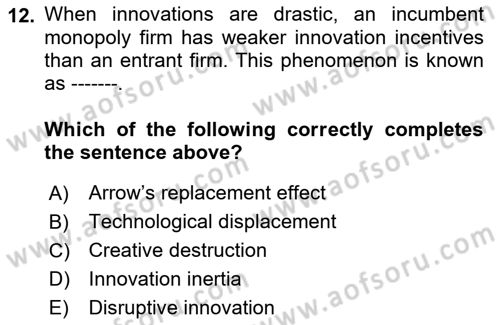 Economics Of Science Technology And İnnovation Dersi 2024 - 2025 Yılı (Vize) Ara Sınav Soruları 12. Soru