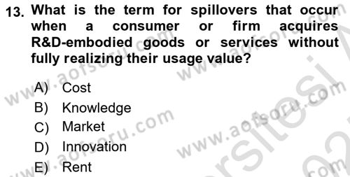 Economics Of Science Technology And İnnovation Dersi 2024 - 2025 Yılı (Vize) Ara Sınav Soruları 13. Soru