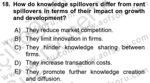 Economics Of Science Technology And İnnovation Dersi 2024 - 2025 Yılı (Vize) Ara Sınav Soruları 18. Soru