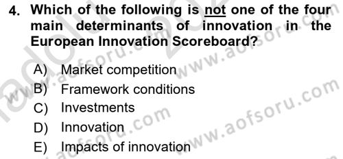 Economics Of Science Technology And İnnovation Dersi 2024 - 2025 Yılı (Vize) Ara Sınav Soruları 4. Soru