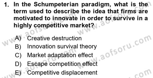 Economics Of Science Technology And İnnovation Dersi 2024 - 2025 Yılı (Final) Dönem Sonu Sınav Soruları 1. Soru