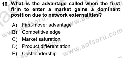 Economics Of Science Technology And İnnovation Dersi 2024 - 2025 Yılı (Final) Dönem Sonu Sınav Soruları 16. Soru