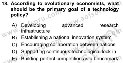Economics Of Science Technology And İnnovation Dersi 2024 - 2025 Yılı (Final) Dönem Sonu Sınav Soruları 18. Soru