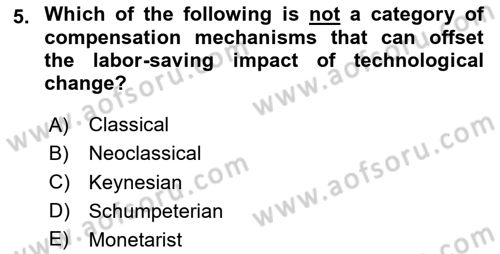 Economics Of Science Technology And İnnovation Dersi 2024 - 2025 Yılı (Final) Dönem Sonu Sınav Soruları 5. Soru