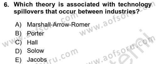 Economics Of Science Technology And İnnovation Dersi 2024 - 2025 Yılı (Final) Dönem Sonu Sınav Soruları 6. Soru