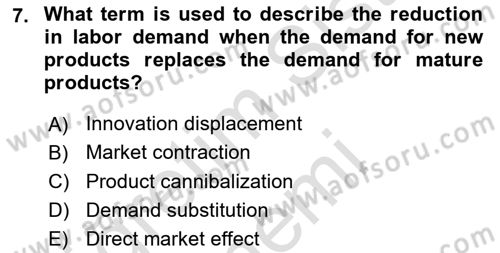 Economics Of Science Technology And İnnovation Dersi 2024 - 2025 Yılı (Final) Dönem Sonu Sınav Soruları 7. Soru
