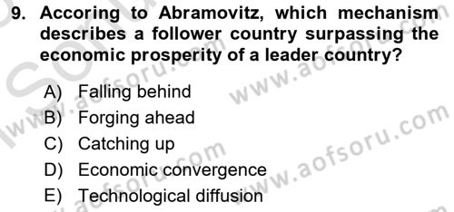 Economics Of Science Technology And İnnovation Dersi 2024 - 2025 Yılı (Final) Dönem Sonu Sınav Soruları 9. Soru