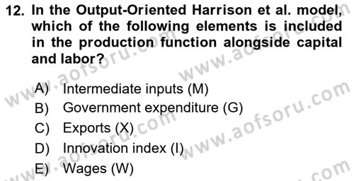 Economics Of Science Technology And İnnovation Dersi 2024 - 2025 Yılı Yaz Okulu Sınav Soruları 12. Soru
