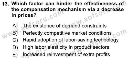Economics Of Science Technology And İnnovation Dersi 2024 - 2025 Yılı Yaz Okulu Sınav Soruları 13. Soru