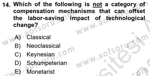 Economics Of Science Technology And İnnovation Dersi 2024 - 2025 Yılı Yaz Okulu Sınav Soruları 14. Soru