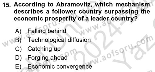 Economics Of Science Technology And İnnovation Dersi 2024 - 2025 Yılı Yaz Okulu Sınav Soruları 15. Soru