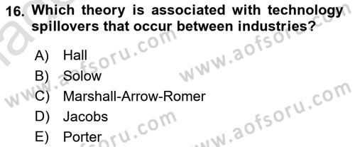 Economics Of Science Technology And İnnovation Dersi 2024 - 2025 Yılı Yaz Okulu Sınav Soruları 16. Soru