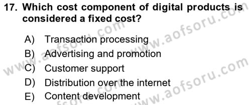 Economics Of Science Technology And İnnovation Dersi 2024 - 2025 Yılı Yaz Okulu Sınav Soruları 17. Soru